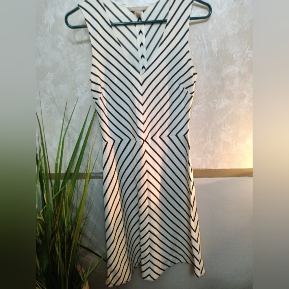 Banana Republic white and navy stripe dress